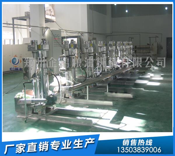 核桃榨油機(jī)設(shè)備
