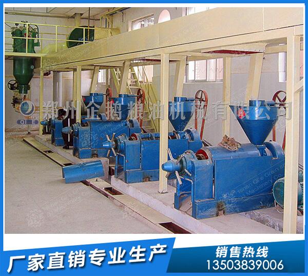 火麻籽榨油機(jī)設(shè)備