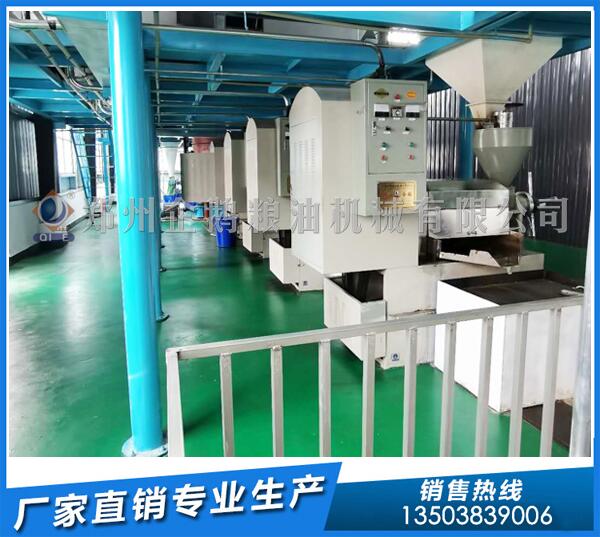 茶籽榨油機設備