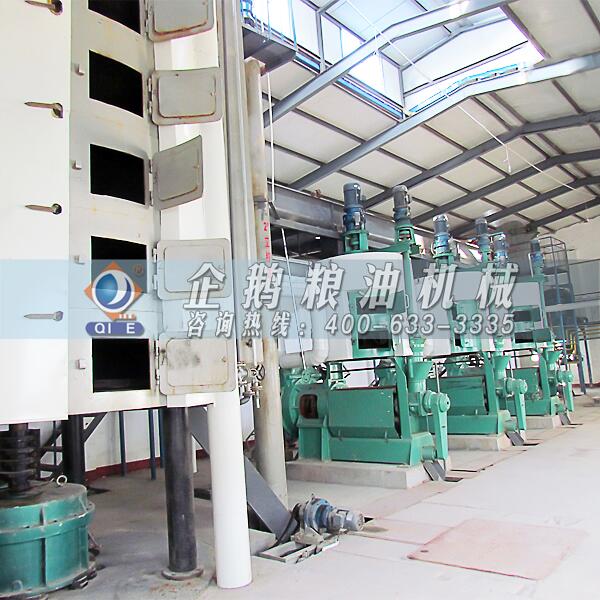 紫蘇籽榨油機(jī)設(shè)備