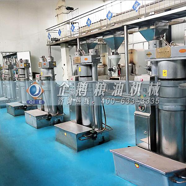 核桃油壓榨成套設(shè)備