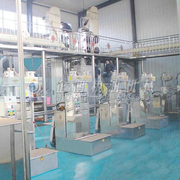 核桃油榨油機(jī)生產(chǎn)線(xiàn)