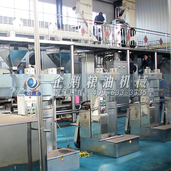 鄭州企鵝榨油機(jī)讓鐵核桃變廢為寶扶貧項(xiàng)目再次啟動(dòng)