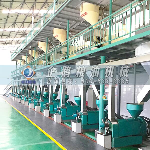 菜籽油設(shè)備怎么提高菜籽出油率鄭州企鵝為您解答