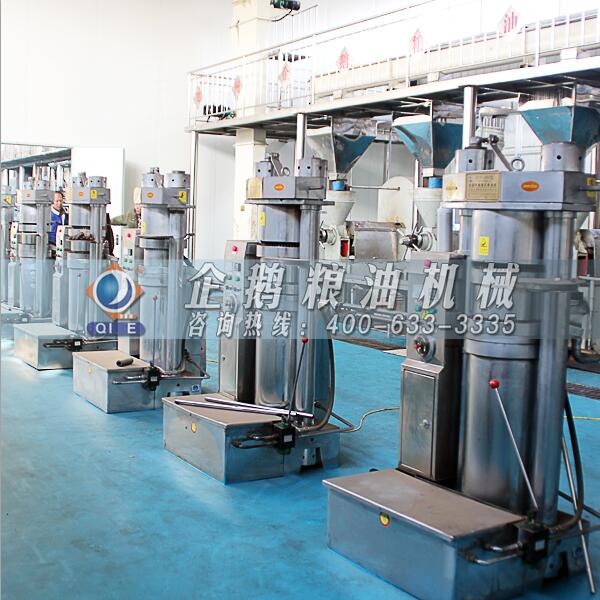 核桃油設(shè)備