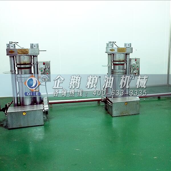 榨油機(jī)設(shè)備