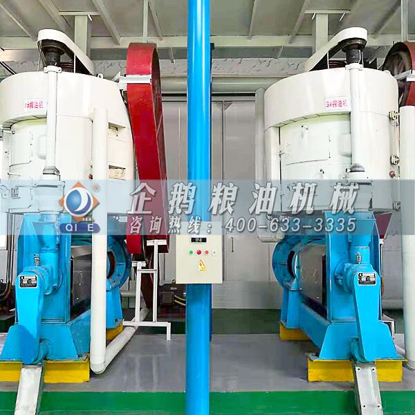 菜籽油榨油機(jī)設(shè)備